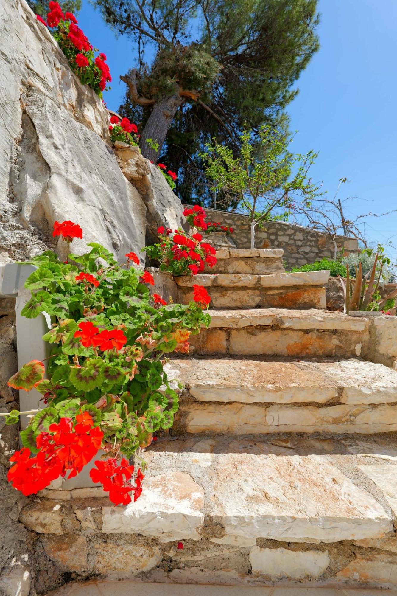 Flower Vila Sarandë Eksteriør bilde