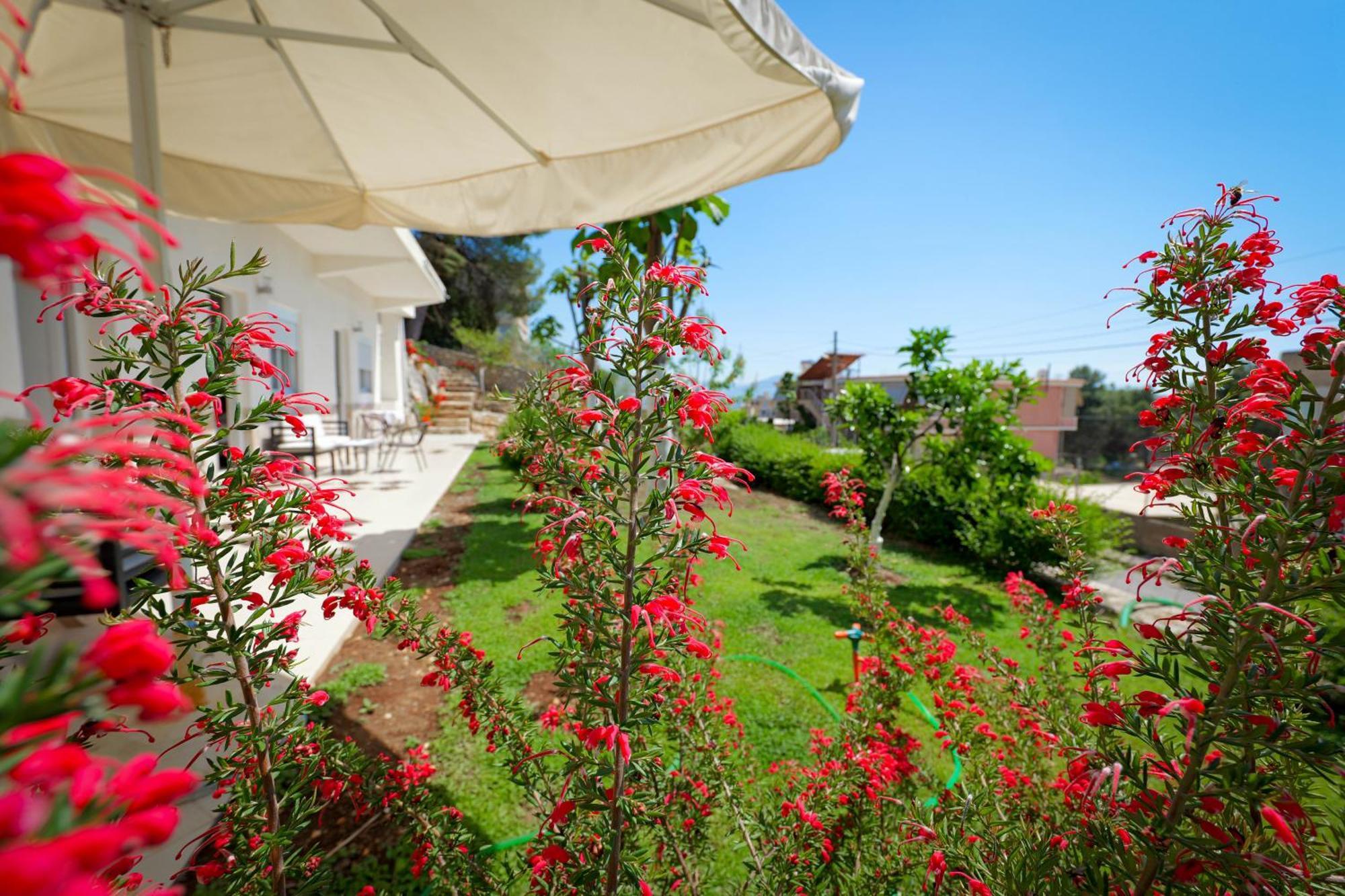 Flower Vila Sarandë Eksteriør bilde